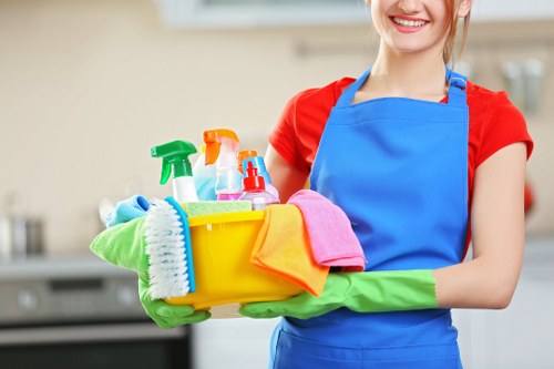 Professional carpet cleaning in a bright living room