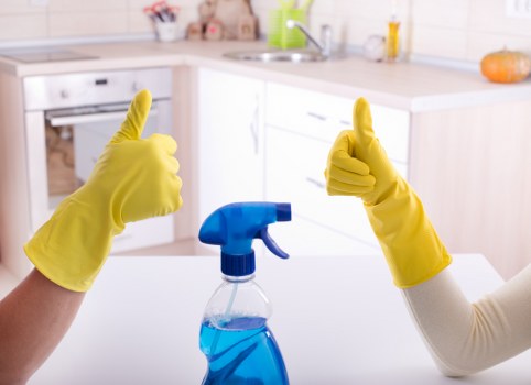 Move out cleaning of a bright living room with dust-free surfaces