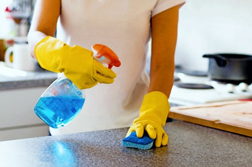 Kitchen surfaces being cleaned during move in service