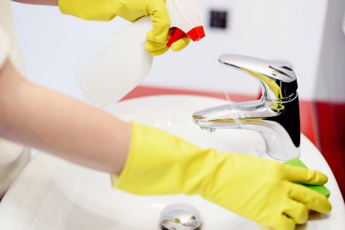 Professional oven cleaning removing grease from a kitchen appliance