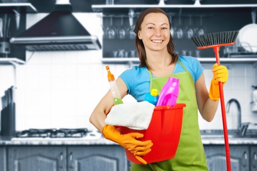 Domestic cleaning essentials laid out for home care