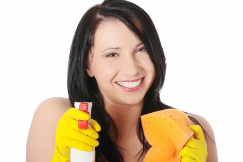 Interior window cleaning bringing more natural light into a home