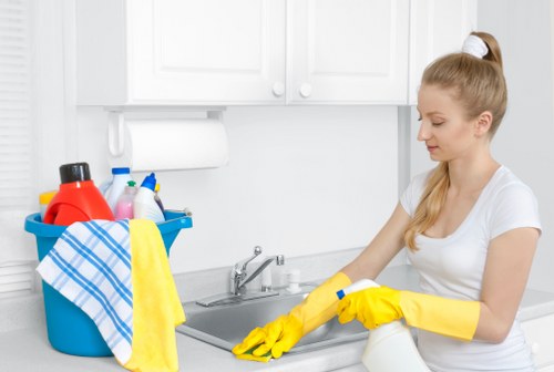 Professional cleaner performing safe high-access window cleaning